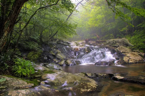 下雨天 弗吉尼亚州皇家前线附近的神州国家公园 白色橡木峡谷中的瀑布 — 图库照片