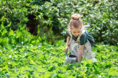 Bahçesinde su kovası olan küçük sarışın kız. Çocuk yeşil bitkileri suluyor.. 