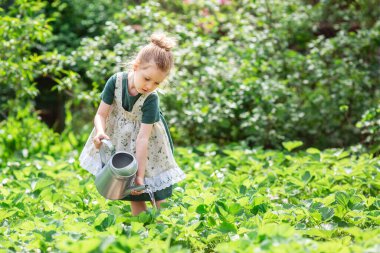 Bahçesinde su kovası olan küçük sarışın kız. Çocuk yeşil bitkileri suluyor.. 