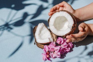 Yarım hindistan cevizi ve mavi arka planda hindistan cevizi parçaları..