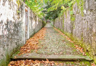 Uzun dar taş sokak ile sonbahar yaprakları