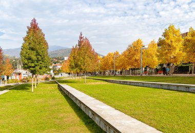 Sonbahar park ile renkli ağaçlar, Luino, Varese, İtalya