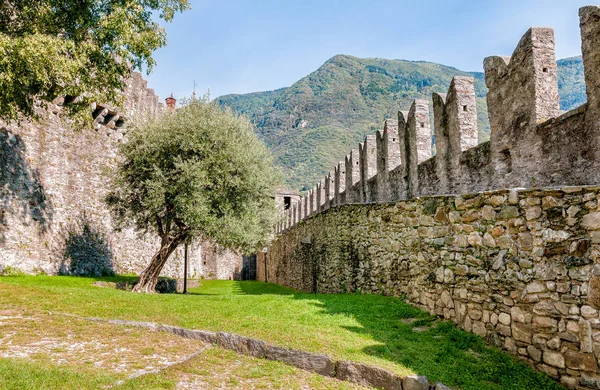 Park av Montebello slott, Bellinzona, Ticino, Schweiz — Stockfoto