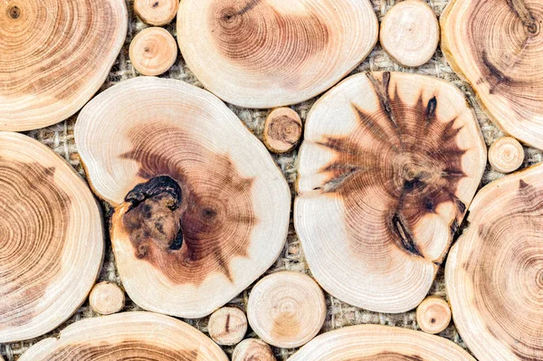 Tło z mozaiki brzoza drewno drzewo. — Zdjęcie stockowe