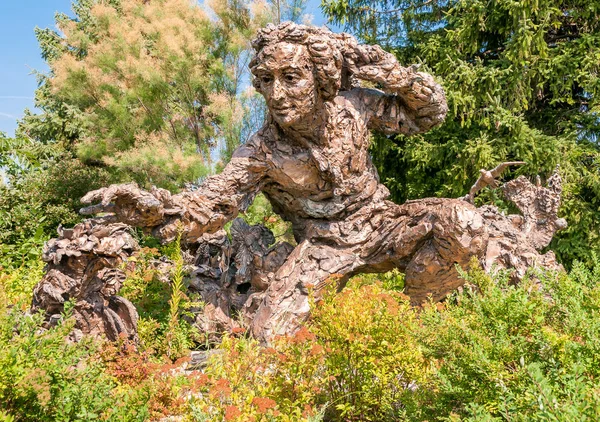 Bronzová socha Carl Linné v Chicagu Botanic Garden, Usa — Stock fotografie