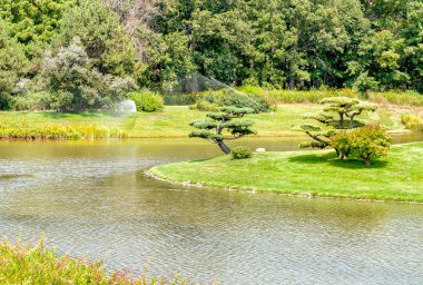 Japon Bahçe, Chicago Botanik Bahçesi, ABD görünümünü