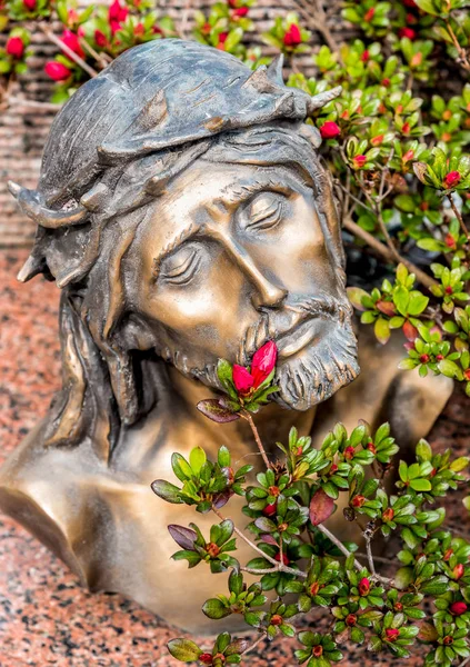 Cabeça coroada com espinhos de Jesus Cristo — Fotografia de Stock