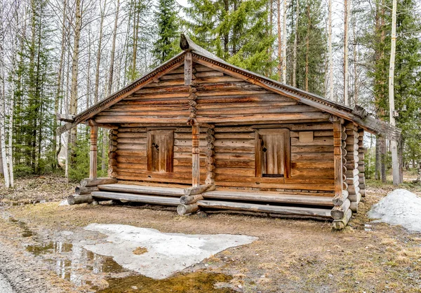 Stará dřevěná chata v lese — Stock fotografie