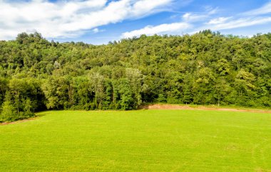 Yeşil çayır üst görünümün arka planına
