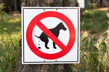 Köpek pooping bir iz yok