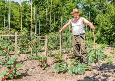 Mutlu Kıdemli bahçıvan iş başında.