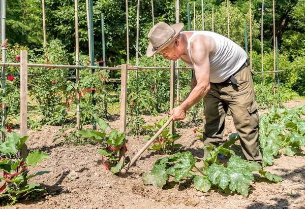 Jardinero mayor labrando el suelo en el jardín . — Foto de Stock