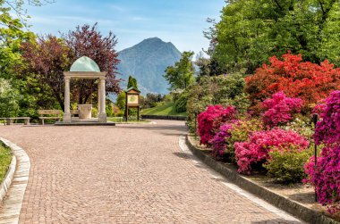 Botanical Gardens of Villa Taranto, located on the shore of Lake Maggiore in Pallanza, Italy. clipart