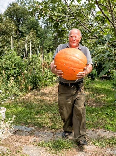 オレンジのカボチャの年配の男性. — ストック写真