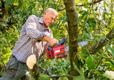 Komuta sizde kesme ağaç chainsaw ile