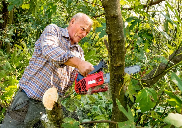 Komuta sizde kesme ağaç chainsaw ile