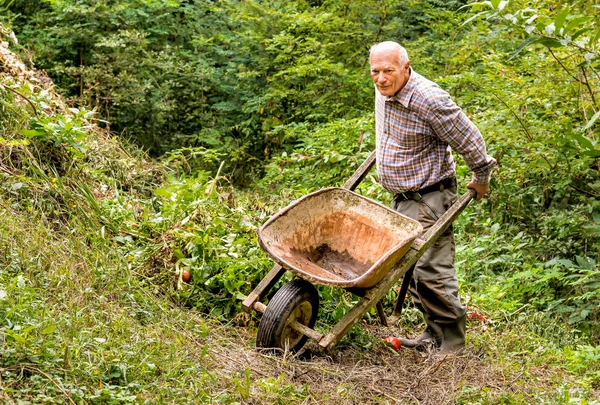 Homme âgé avec une vieille brouette travaillant dans le jardin — Photo