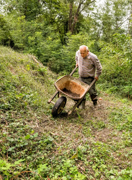 Homme âgé avec une vieille brouette travaillant dans le jardin — Photo
