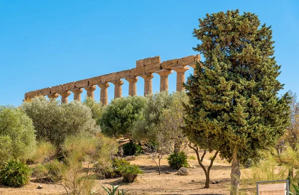 Parque do Vale dos Templos em Agrigento, Sicília, Itália — Fotografia de Stock