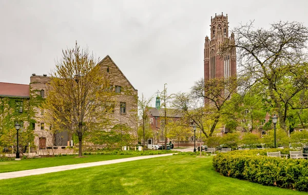Kare Chicago Üniversitesi kampüsü ekonomi tower, ABD için Saieh Hall Manzaralı