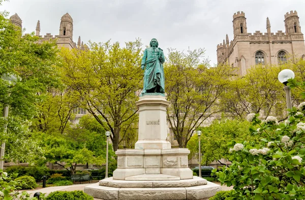 Carl Linnaeus Chicago Üniversitesi, ABD Hyde Park anıt