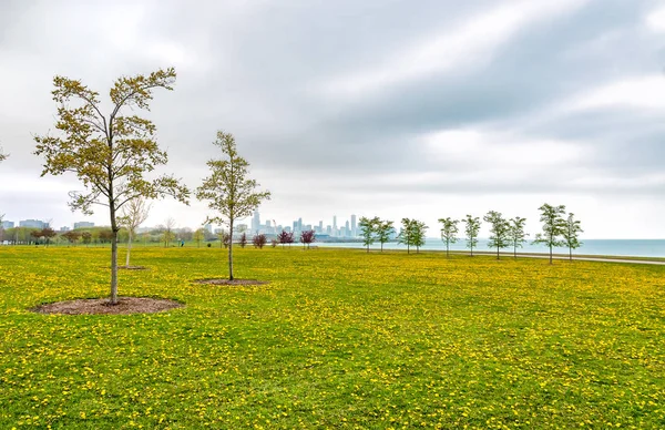 Chicago orilla del lago sur, paisaje primaveral de campo verde con flores amarillas, y árboles . — Foto de Stock