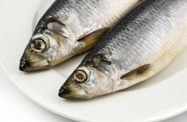 Beyaz arka plan üzerinde izole tabakta tuzlu tane ringa balığı.