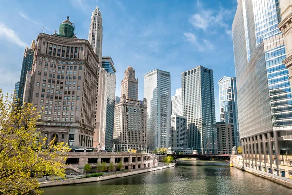 Vista Arranha Céus Chicago Com Mather Tower London Guarantee Building — Fotografia de Stock