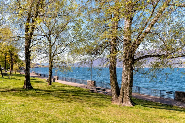 Paseo Marítimo Luino Lakeside Orilla Del Lago Maggiore Italia — Foto de Stock