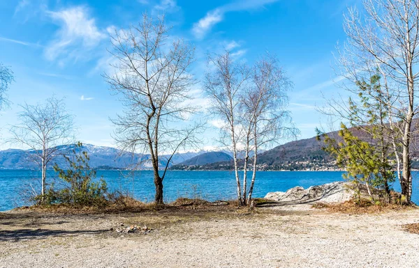 Paisaje Del Lago Mayor Con Dos Árboles Orilla Día Invierno — Foto de Stock