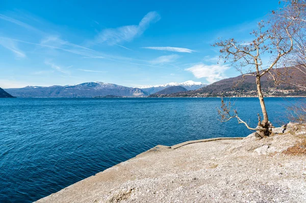 Bir Kış Günü Sahilde Ağaçta Lake Maggiore Yatay — Stok fotoğraf