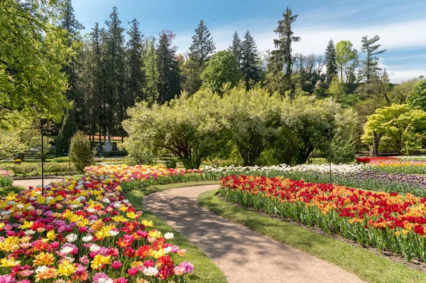 Botanical Gardens Villa Taranto Colorful Tulips Bloom Pallanza Verbania Italy — Stock Photo, Image