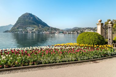 Lake Lugano ve renkli Lale çiçek Ciani parkı ile ilkbaharda, İsviçre manzara