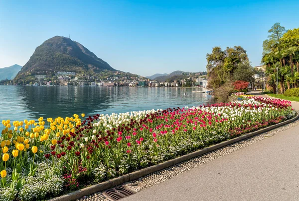 Krajobraz Jeziora Lugano Kolorowe Tulipany Kwitną Ciani Park Wiosenny Szwajcaria — Zdjęcie stockowe