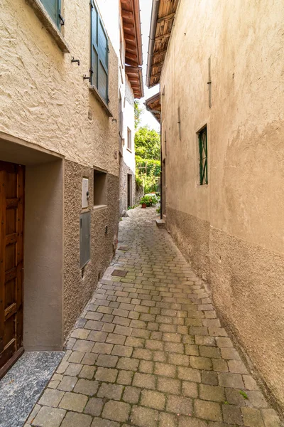 Rue Étroite Ancien Village Montagne Zelbio Situé Dans Province Côme — Photo