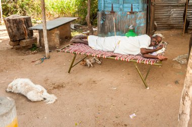Puttaparthi, Andhra Pradesh, Hindistan - 12 Ocak 2013: Hintli son sınıf öğrencisi Puttaparthi, Hindistan yakınlarındaki köpeklerle açık hava kanepesinde dinleniyor