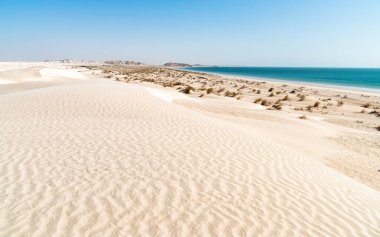 Orta Doğu 'daki Umman Arap Denizi' nde kum tepeleri ve beyaz kumlarla Al Khaluf plajının manzarası..