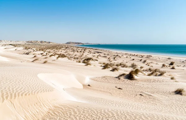 中東のオマーンのアラビア海で砂丘と白い砂とアル ハリフビーチの風景 — ストック写真