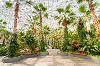 Crystal Garden, Chicago, Usa 'daki Navy Pier' da kapalı bir botanik bahçesi.