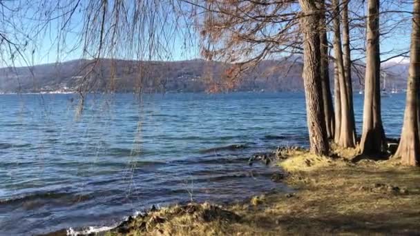 Landschaft Des Lago Maggiore Vom Strand Von Monvalle Einem Wintertag — Stockvideo