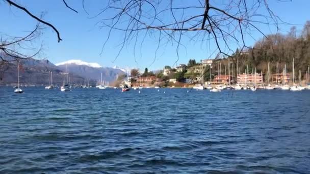 Paysage Lac Majeur Depuis Plage Monvalle Par Une Journée Hiver — Video