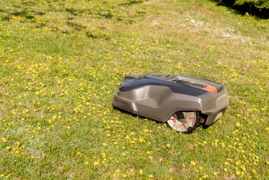 Robotik Çim Biçme Makinesi Bahçede çim kesme.