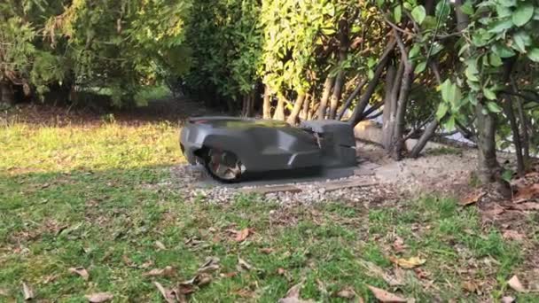 Robotic Lawn Mower Sta Lasciando Stazione Ricarica — Video Stock