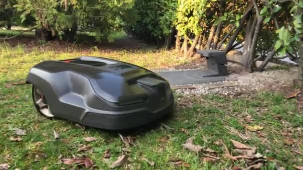 Robotik Çim Biçme Makinesi Bahçede Çim Kesme — Stok video