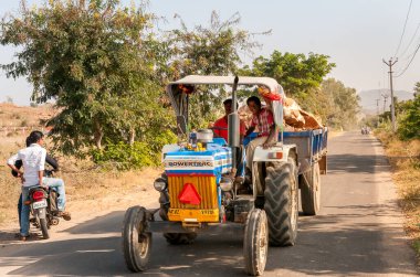Puttaparthi, Andhra Pradesh, Hindistan - 12 Ocak 2013: Hindistan 'ın Puttaparthi köyüne giden yolda traktördeki Hintli işçiler odunları taşıyor