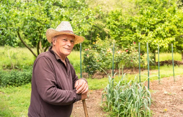 Retrato Idoso Sorridente Usando Chapéu Seu Jardim Primavera — Fotografia de Stock