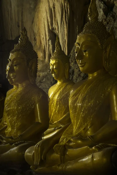 Goldene Buddha-Bilder mit Beleuchtung Stockbild