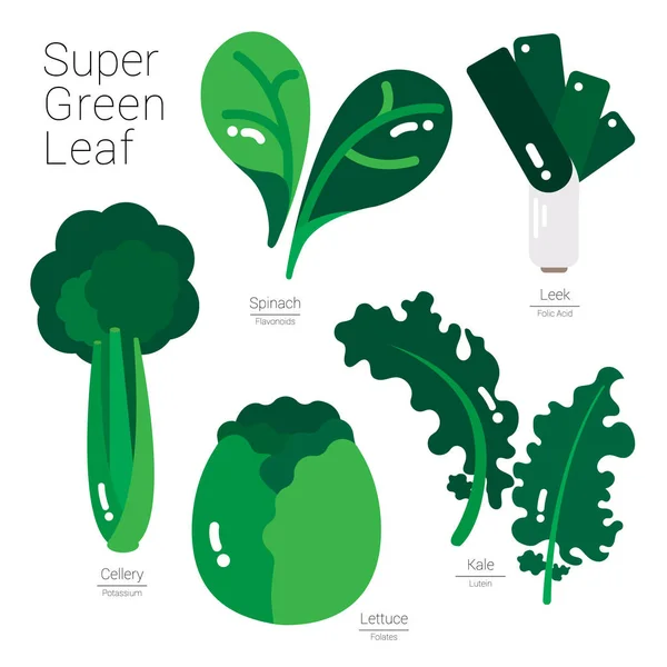 Super zelená listová — Stockový vektor
