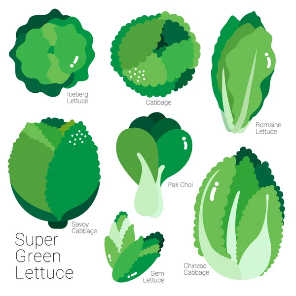 Super zelené salát — Stockový vektor