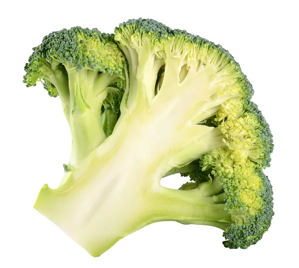 Broccoli freschi isolati su fondo bianco — Foto Stock